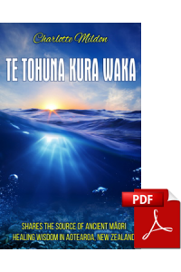 te-tohuna-kura_waka-pdf-cover-375px.png
